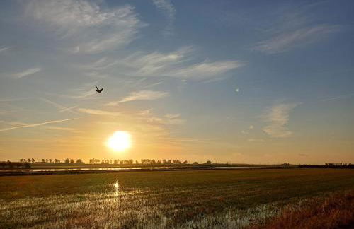 Apartament Bapu - Foto 29