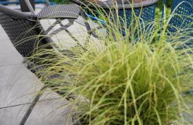 Berlin-Oase - schnuckelige Ferienwohnung an der Grenze zu Berlin - Foto 14