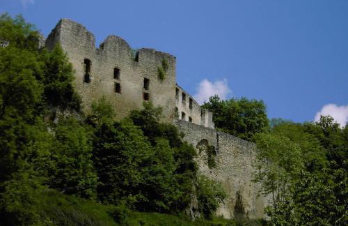 Ferienwohnungen Holder - Photo 42