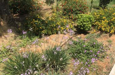 Villa Oliveto - Foto 6