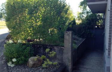 Grünes Allgäu - Foto 16