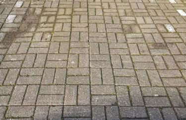 Ferienwohnung Goldblume Hooksiel Nordsee - Foto 43