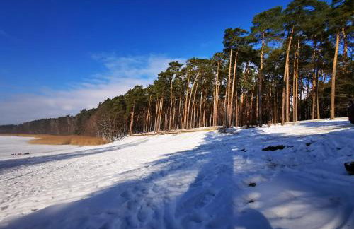 Zielona Chałupa - Foto 19