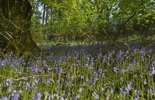 Sweet Pea Cottage, Amroth - Foto 53