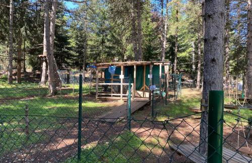 Appartamento immerso nel verde - Foto 56