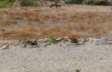 Scarpathia House - Foto 45