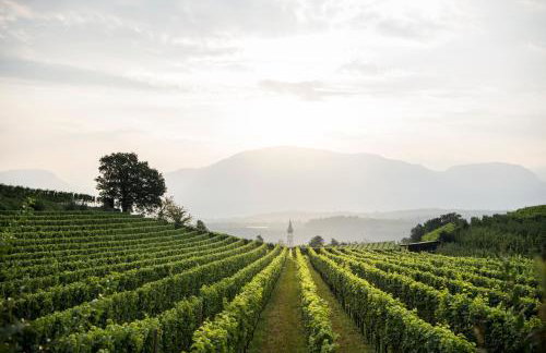 Schmitte am Sonnenwirtsplatz Eppan in South Tyrol, perfect starting point for bike and hike - Foto 21