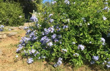 Cinque Terre, Tuscany, Liguria, Lerici, apartment #1 - Photo 45