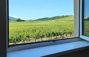 L'Altenberg - Foto 18