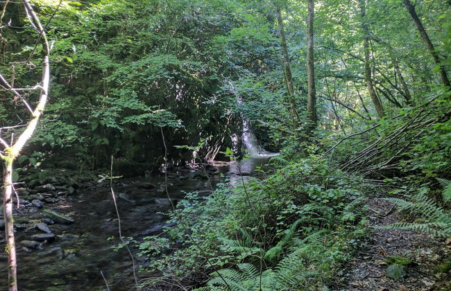 Apartamento Cabañaquinta Senderista - Foto 21