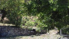 L' Amabile Geko - Photo 4, Garden view