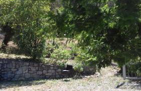 L' Amabile Geko - Foto 4