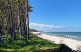 Piękny domek z dużym ogrodem - Foto 37