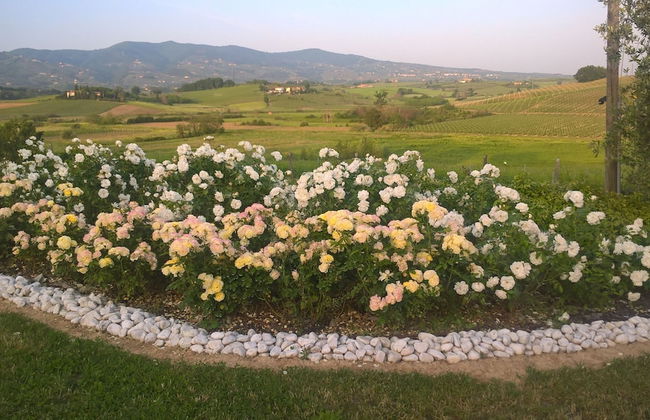 Agriturismo Spazzavento - Photo 45