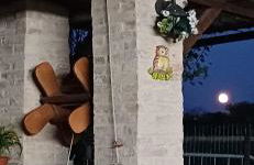 Il Cipresso - Foto 11