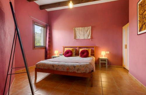 Finca La Libertad - Photo 8