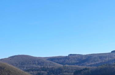 Rursee Eifel-Chalet mit Seeblick und Wellnessbereich - Foto 35