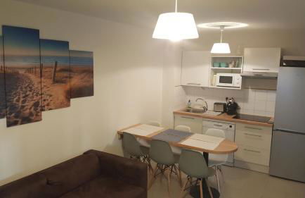 Appartement à deux pas de l ocean - Foto 9