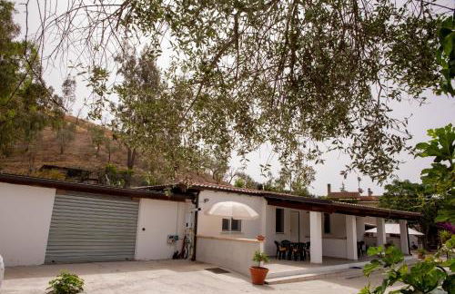 Tenuta Severino - Foto 46