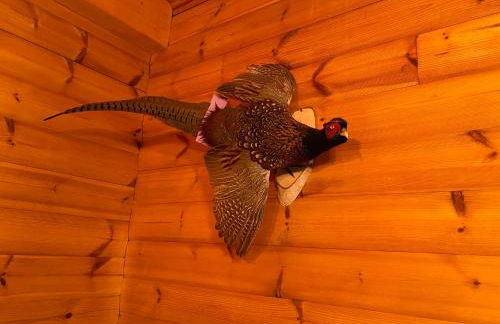 Waldhaus Eichhörnchen - Foto 26