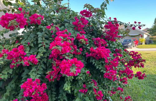 EXQUISITE VILLA - 2 Master Suites, Pool South and Spa, Gas BBQ, Game Room, WIFI - Foto 34