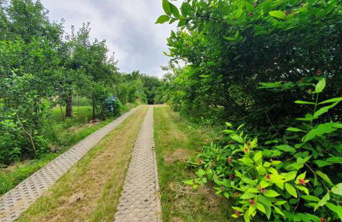 Leśny Zakątek - Foto 7