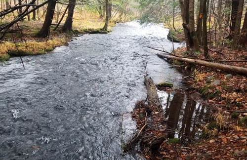 Roscoe Cabin Pet friendly - Foto 28