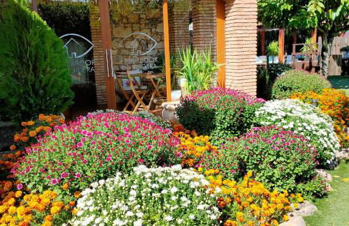 El Mirador De Ruidera - Foto 39