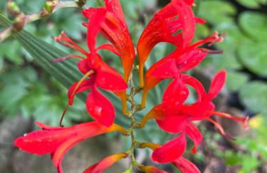 Waldtraum Wandlitzsee - Foto 52