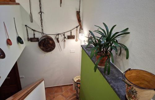 La Corona del Auteiro - Foto 27