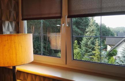 Kaszubiana direkt in der Natur - Photo 13