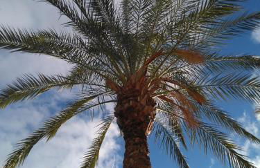 Nice 2 bedroom apartment groundfloor swimming pool - Foto 21