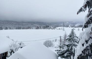 Apartman Suhi vrh - Foto 1