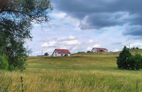 Ptasi Zakątek - Foto 60