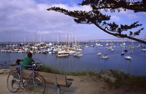 3823 Sand Dollar House condo - Foto 33