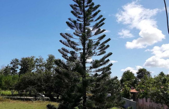 Villas Don Pablo - Foto 32