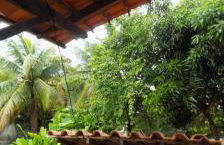 Boipeba Cantinho do Mirko II - Foto 7