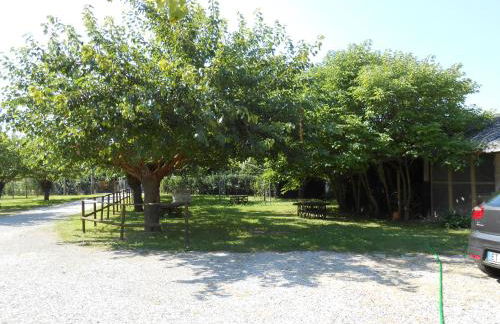 La Torre del Falco - Photo 17