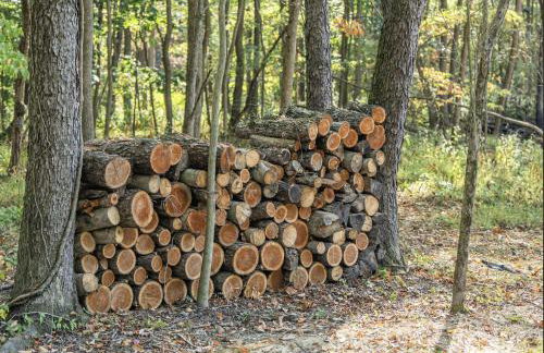 Tranquility Cove - Foto 35