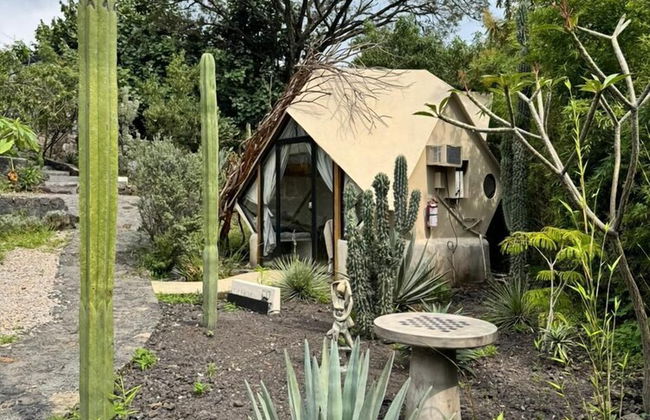 Bosque Geométrico - Foto 77