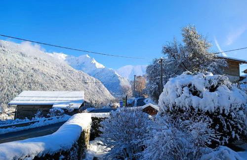 Résidence La Planchette - L'Alpin - 4 pièces dans un chalet individuel MAE-7861 - Foto 14