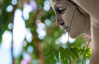 SeVeN Holiday home - Barefoot by the Sea, Velebit, Nature - Photo 61