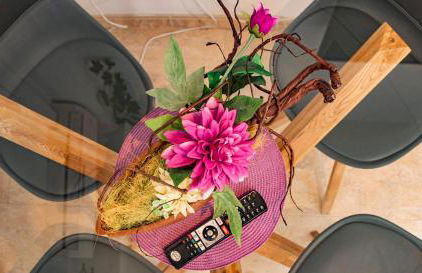 Parrot’s House - Foto 44