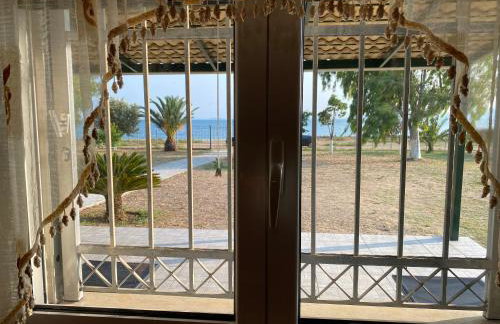 O κήπος της Εδέμ / Garden of Eden - Foto 28