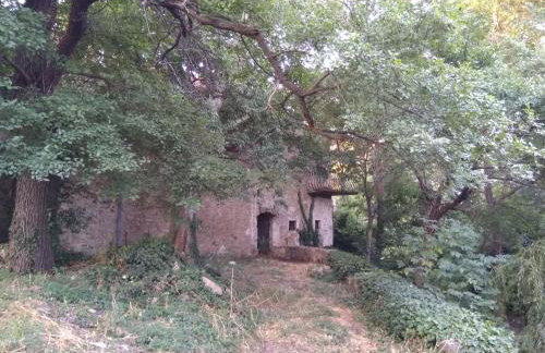 Jankovich Castle - Photo 22