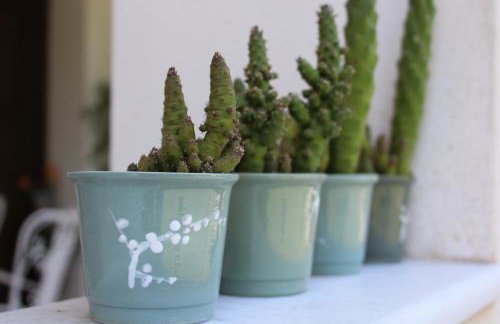 Smile's Studios - Photo 32