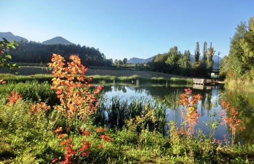 Baumgartnerhof - Foto 17