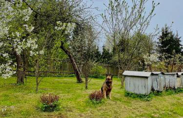 Świerkowe Ranczo Raciszewo - Foto 5