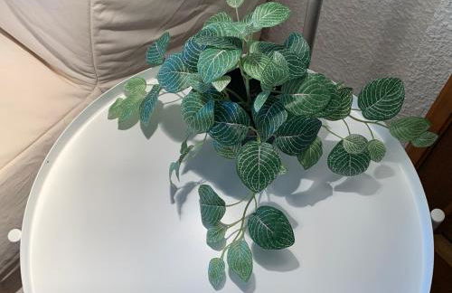 Precioso piso recién reformado en Zaragoza - Foto 46