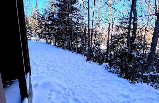 A1 Luxury Bretton Woods Ski-in Ski-out Townhome Next to Beginner ski Area Fast Wifi Keyless Entry - Photo 48